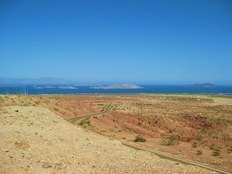 A close up of a desert field