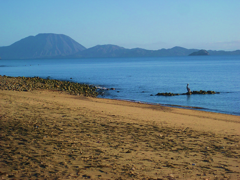 A group of people on a beach near a body of water