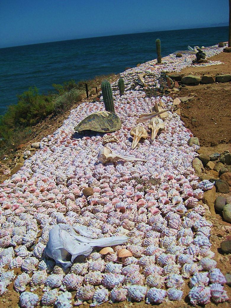 A close up of a stone wall Description automatically generated