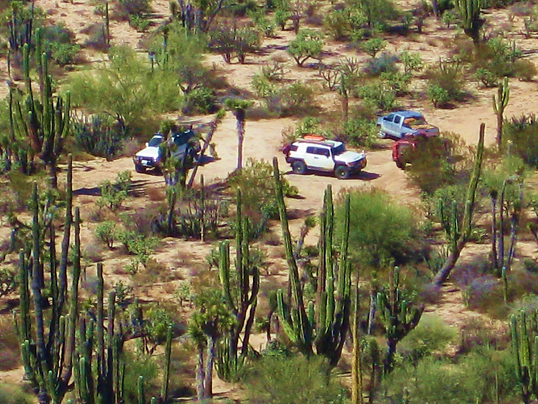 A tree with a mountain in the background Description automatically generated