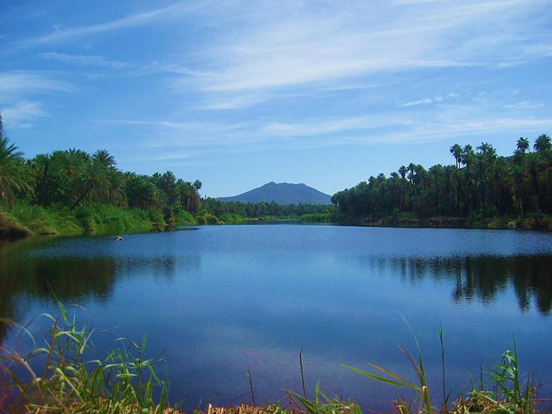 A body of water surrounded by trees Description automatically generated