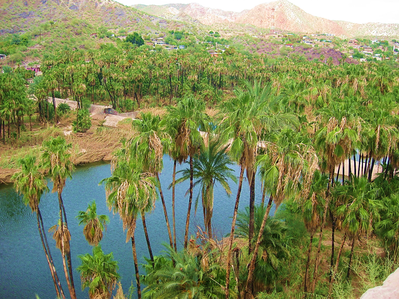 A body of water Description automatically generated