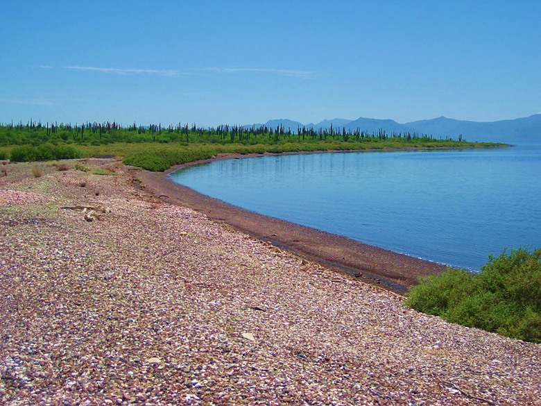 A body of water Description automatically generated