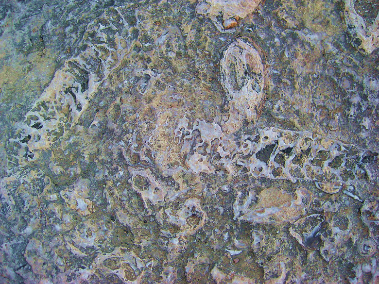 A picture containing old, photo, young, white Description automatically generated