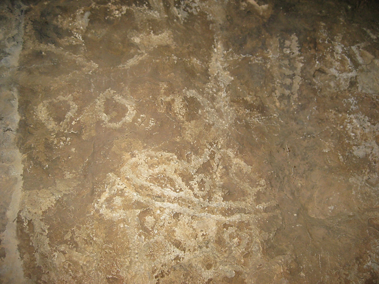 A picture containing woman, old, holding, standing Description automatically generated